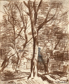 Attilio Pratella, a wooded landscape, chalk drawing
